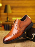 Brown-CN40